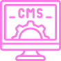 Custom CMS Web Development